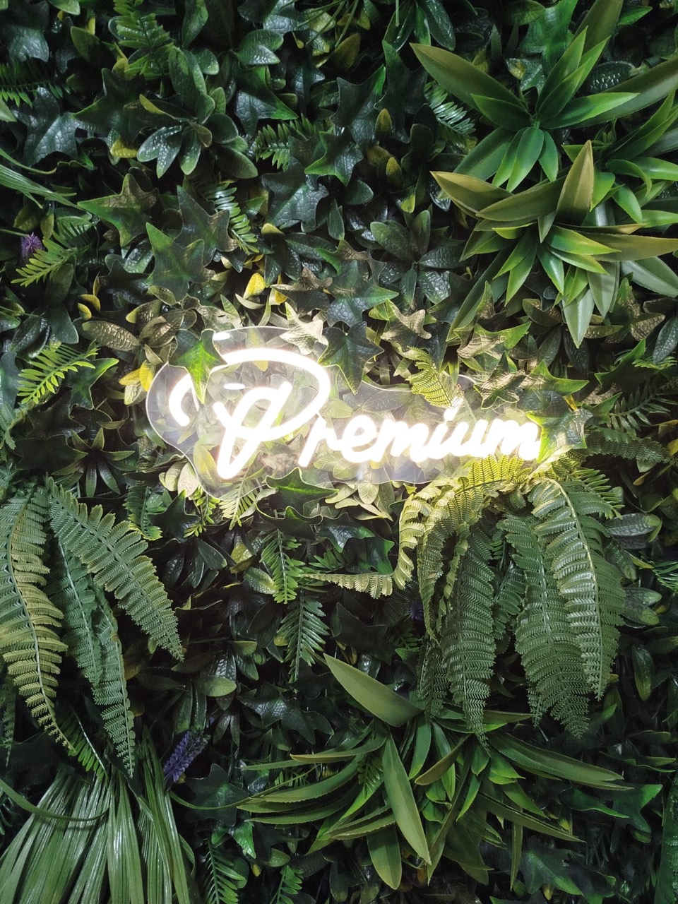 premiumsalon_1_spa_capilar_mataro