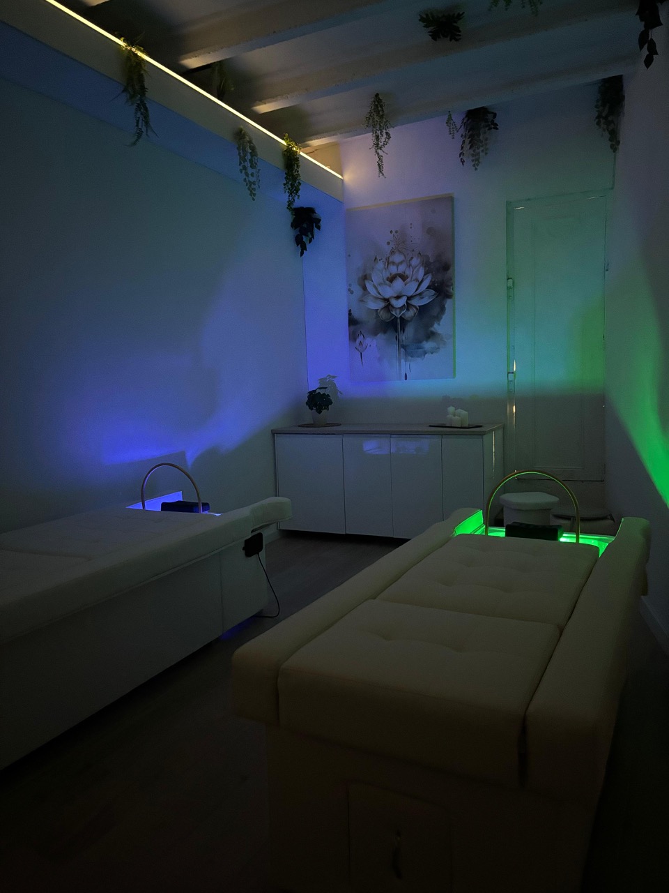 premiumsalon_5_spa_capilar_mataro